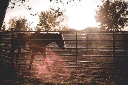 abner soto portfolio